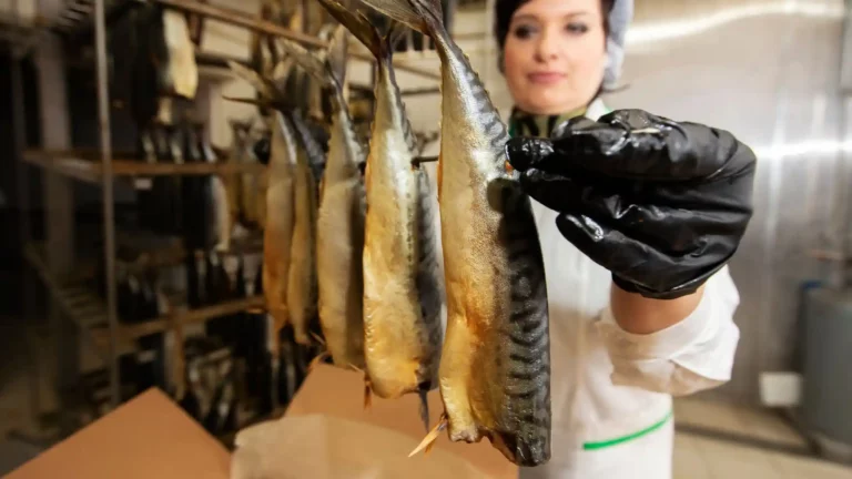 работа на рыбном заводе Колобжег