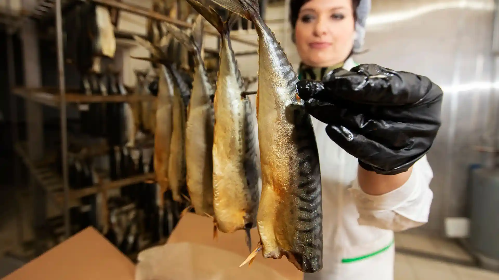 работа на рыбном заводе Колобжег