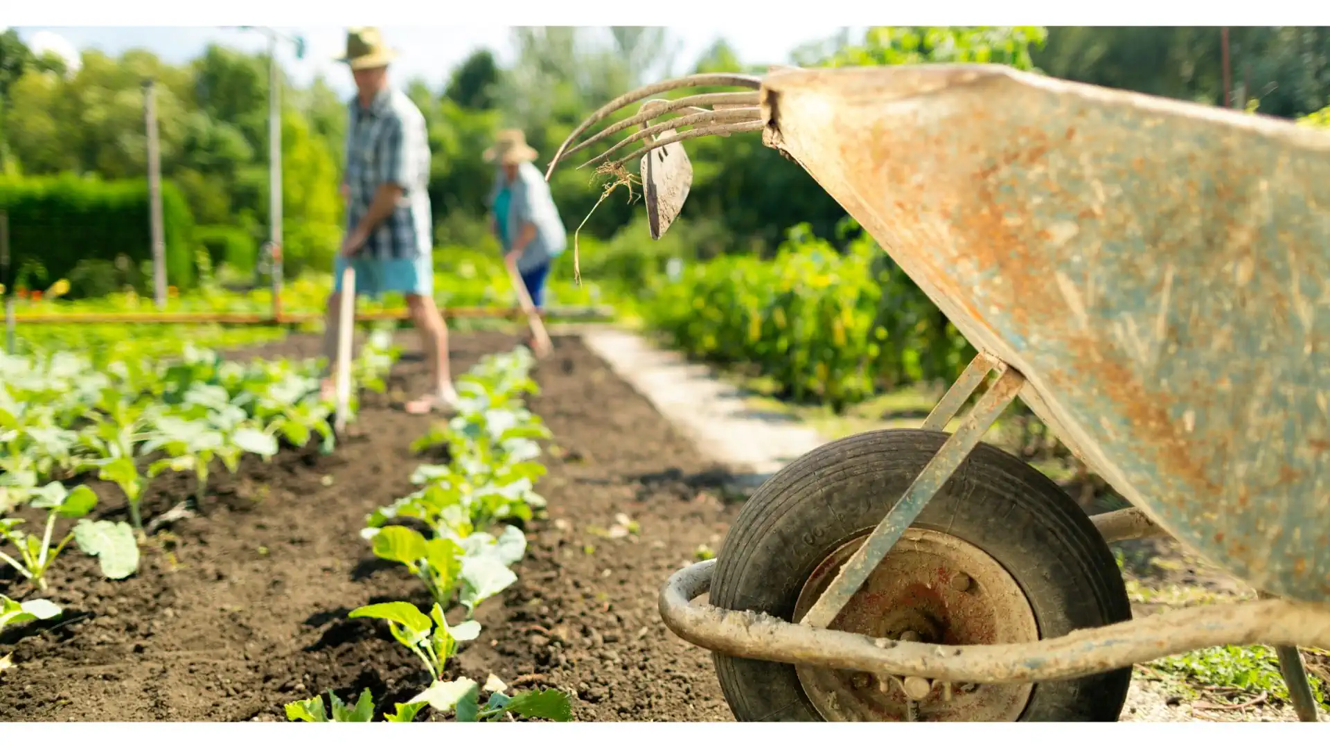 Сезонная работа в Польше: